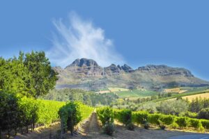 Stellenbosch Zuid-Afrika